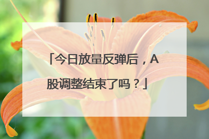 今日放量反弹后，A股调整结束了吗？