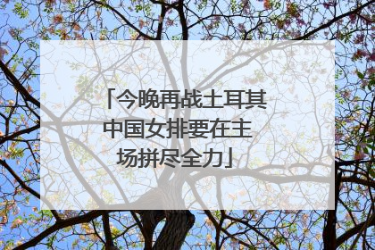 今晚再战土耳其 中国女排要在主场拼尽全力