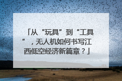 从“玩具”到“工具”，无人机如何书写江西低空经济新篇章？