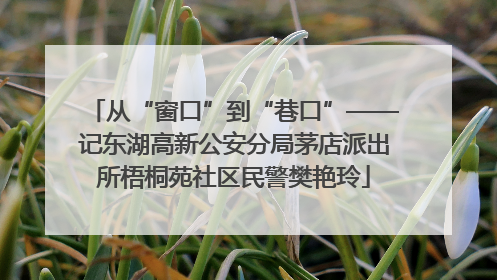 从“窗口”到“巷口”——记东湖高新公安分局茅店派出所梧桐苑社区民警樊艳玲
