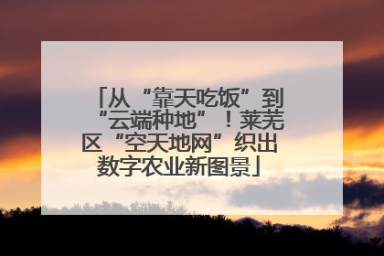 从“靠天吃饭”到“云端种地”！莱芜区“空天地网”织出数字农业新图景