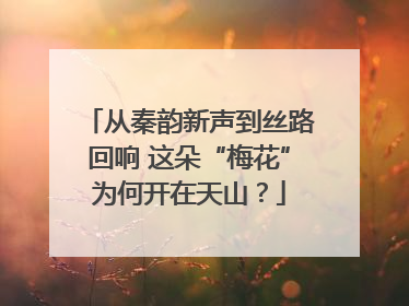 从秦韵新声到丝路回响 这朵“梅花”为何开在天山？