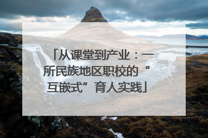 从课堂到产业：一所民族地区职校的“互嵌式”育人实践