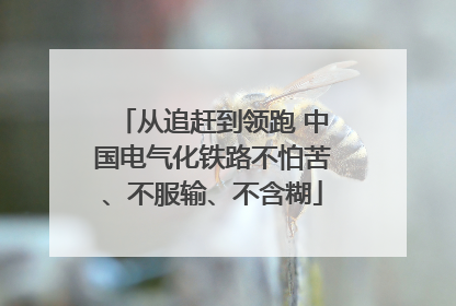 从追赶到领跑 中国电气化铁路不怕苦、不服输、不含糊