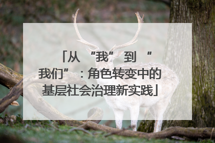 从 “我” 到 “我们”：角色转变中的基层社会治理新实践