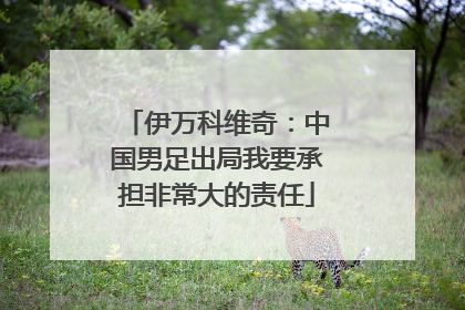 伊万科维奇：中国男足出局我要承担非常大的责任