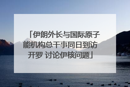 伊朗外长与国际原子能机构总干事同日到访开罗 讨论伊核问题