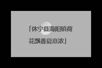 休宁县海阳镇荷花飘香夏意浓
