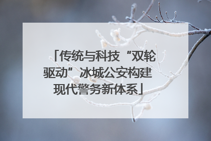 传统与科技“双轮驱动”冰城公安构建现代警务新体系