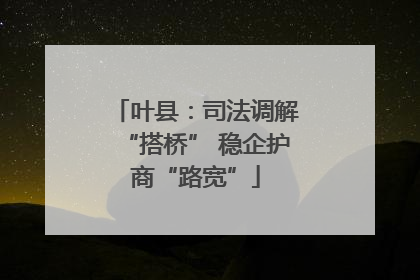 叶县：司法调解“搭桥” 稳企护商“路宽”