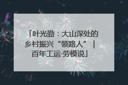 叶光勤：大山深处的乡村振兴“领路人”｜百年工运·劳模说