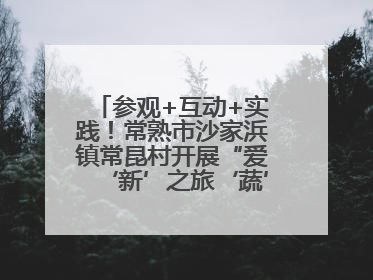 参观+互动+实践！常熟市沙家浜镇常昆村开展“爱‘新’之旅‘蔬’适生活”参观学习活动