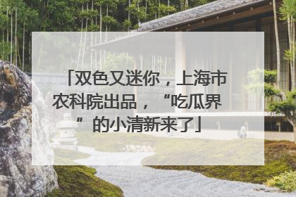 双色又迷你，上海市农科院出品，“吃瓜界”的小清新来了