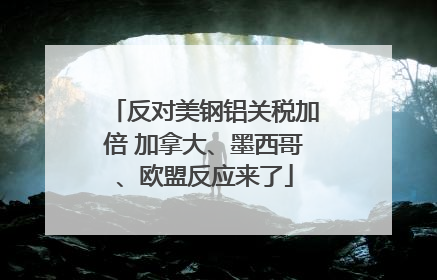 反对美钢铝关税加倍 加拿大、墨西哥、欧盟反应来了