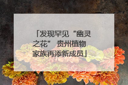 发现罕见“幽灵之花” 贵州植物家族再添新成员