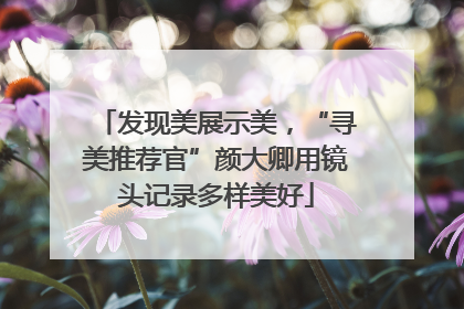 发现美展示美，“寻美推荐官”颜大卿用镜头记录多样美好