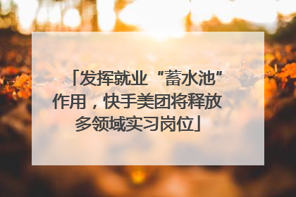 发挥就业“蓄水池”作用，快手美团将释放多领域实习岗位