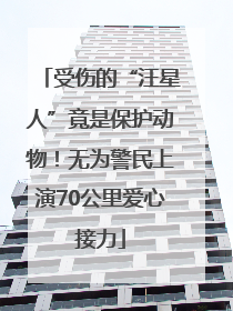 受伤的“汪星人”竟是保护动物！无为警民上演70公里爱心接力