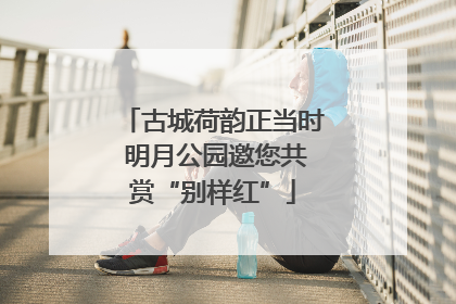 古城荷韵正当时 明月公园邀您共赏“别样红”