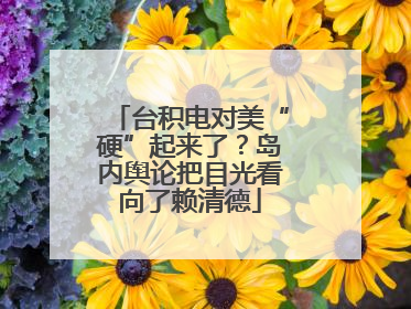 台积电对美“硬”起来了？岛内舆论把目光看向了赖清德