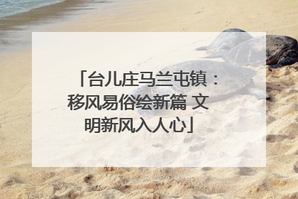 台儿庄马兰屯镇：移风易俗绘新篇 文明新风入人心