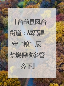 台前县凤台街道：战高温守“粮”辰 禁烧保收多管齐下