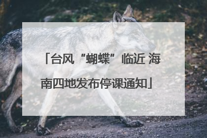 台风“蝴蝶”临近 海南四地发布停课通知
