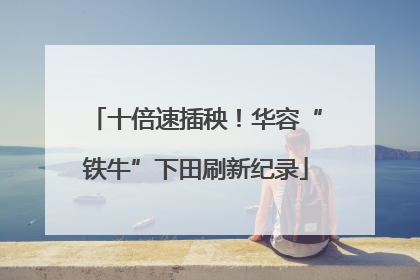 十倍速插秧！华容“铁牛”下田刷新纪录