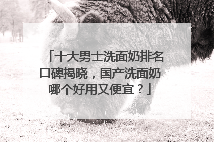 十大男士洗面奶排名口碑揭晓，国产洗面奶哪个好用又便宜？