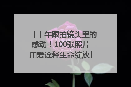 十年跟拍镜头里的感动！100张照片用爱诠释生命绽放