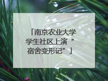 南京农业大学学生社区上演“宿舍变形记”