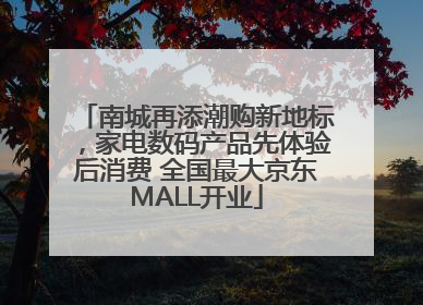 南城再添潮购新地标，家电数码产品先体验后消费 全国最大京东MALL开业