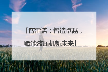 博雷诺：智造卓越，赋能液压机新未来