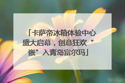 卡萨帝冰箱体验中心盛大启幕，创意狂欢“嵌”入青岛富尔玛