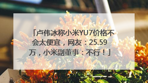 卢伟冰称小米YU7价格不会太便宜，网友：25.59万，小米副董事：不行！