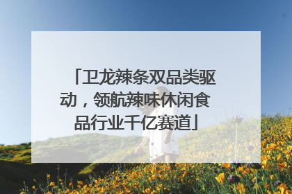 卫龙辣条双品类驱动，领航辣味休闲食品行业千亿赛道