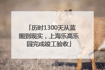 历时1300天从蓝图到现实，上海乐高乐园完成竣工验收