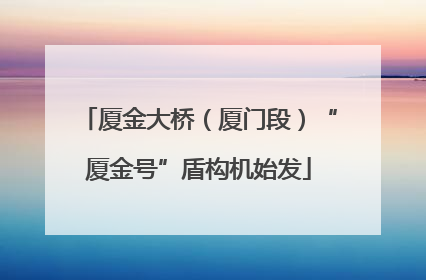厦金大桥（厦门段）“厦金号”盾构机始发
