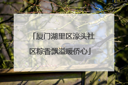 厦门湖里区濠头社区粽香飘溢暖侨心