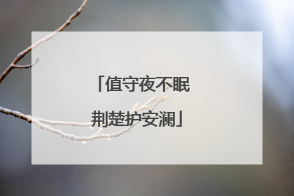 值守夜不眠 荆楚护安澜