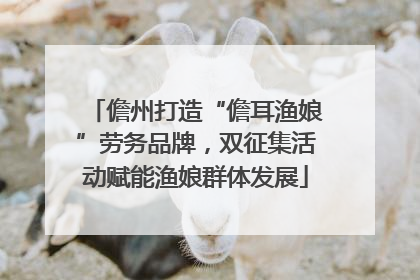 儋州打造“儋耳渔娘”劳务品牌，双征集活动赋能渔娘群体发展