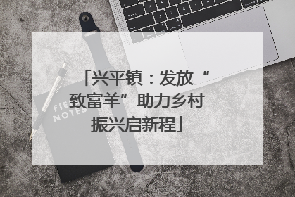 兴平镇：发放“致富羊”助力乡村振兴启新程