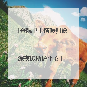 兴航卫士情暖归途 深夜援助护平安