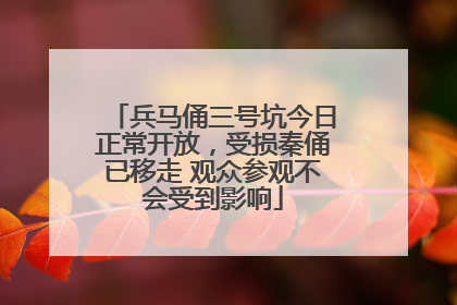 兵马俑三号坑今日正常开放，受损秦俑已移走 观众参观不会受到影响