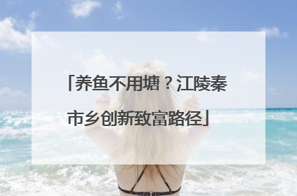 养鱼不用塘？江陵秦市乡创新致富路径