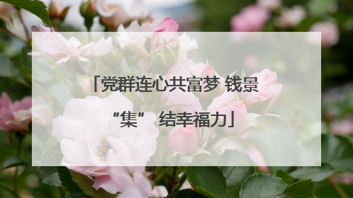 党群连心共富梦 钱景 “集” 结幸福力
