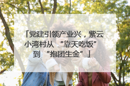 党建引领产业兴，紫云小湾村从 “靠天吃饭” 到 “抱团生金”