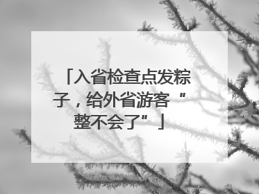 入省检查点发粽子，给外省游客“整不会了”