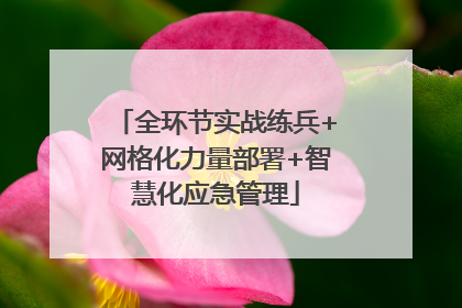 全环节实战练兵+网格化力量部署+智慧化应急管理