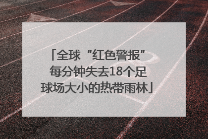 全球“红色警报”  每分钟失去18个足球场大小的热带雨林